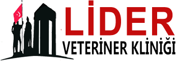Lider Veteriner